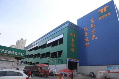 碑林区工厂食材配送单位 新鲜水果直达，守护生产效率